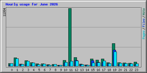 Hourly usage for June 2026