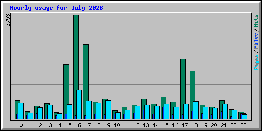 Hourly usage for July 2026