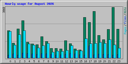 Hourly usage for August 2026